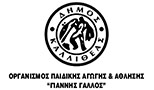 Giannis Gallos Kallithea Municipality