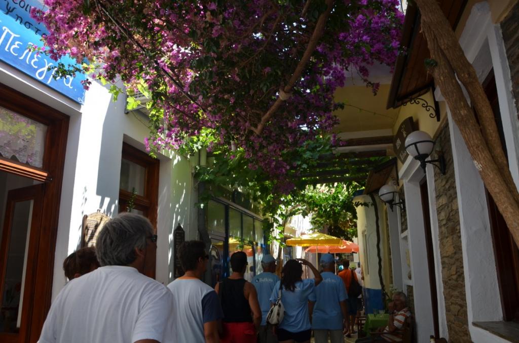 05-07-13-Driopida-Kythnos-13